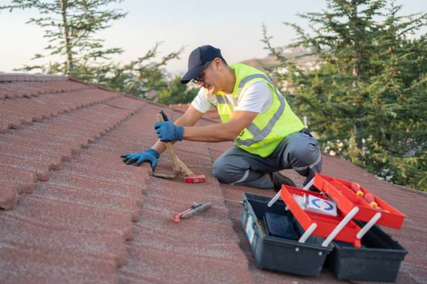 Best Metal Roofing Contractor  in Drexel, OH